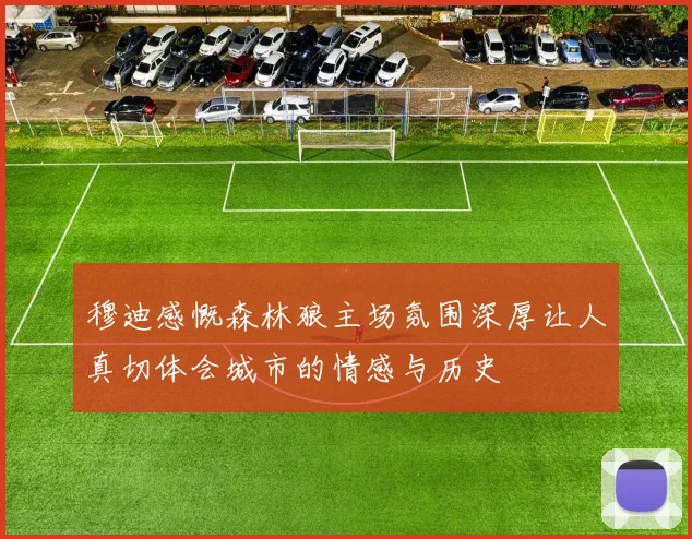 穆迪感慨森林狼主场氛围深厚让人真切体会城市的情感与历史