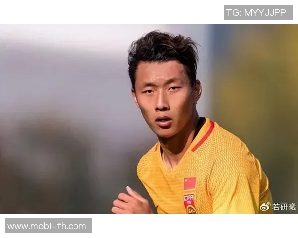 蓉城后卫李扬与海港俱乐部深入接触加盟事宜有望成行